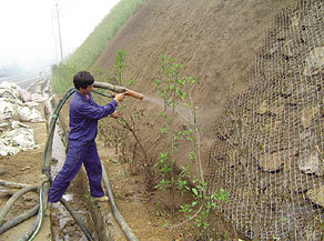 江西贛州邊坡綠化草種邊坡綠化材料三水園林供應